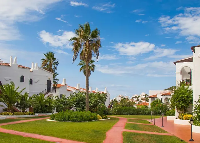 Fergus Club Carema Splash